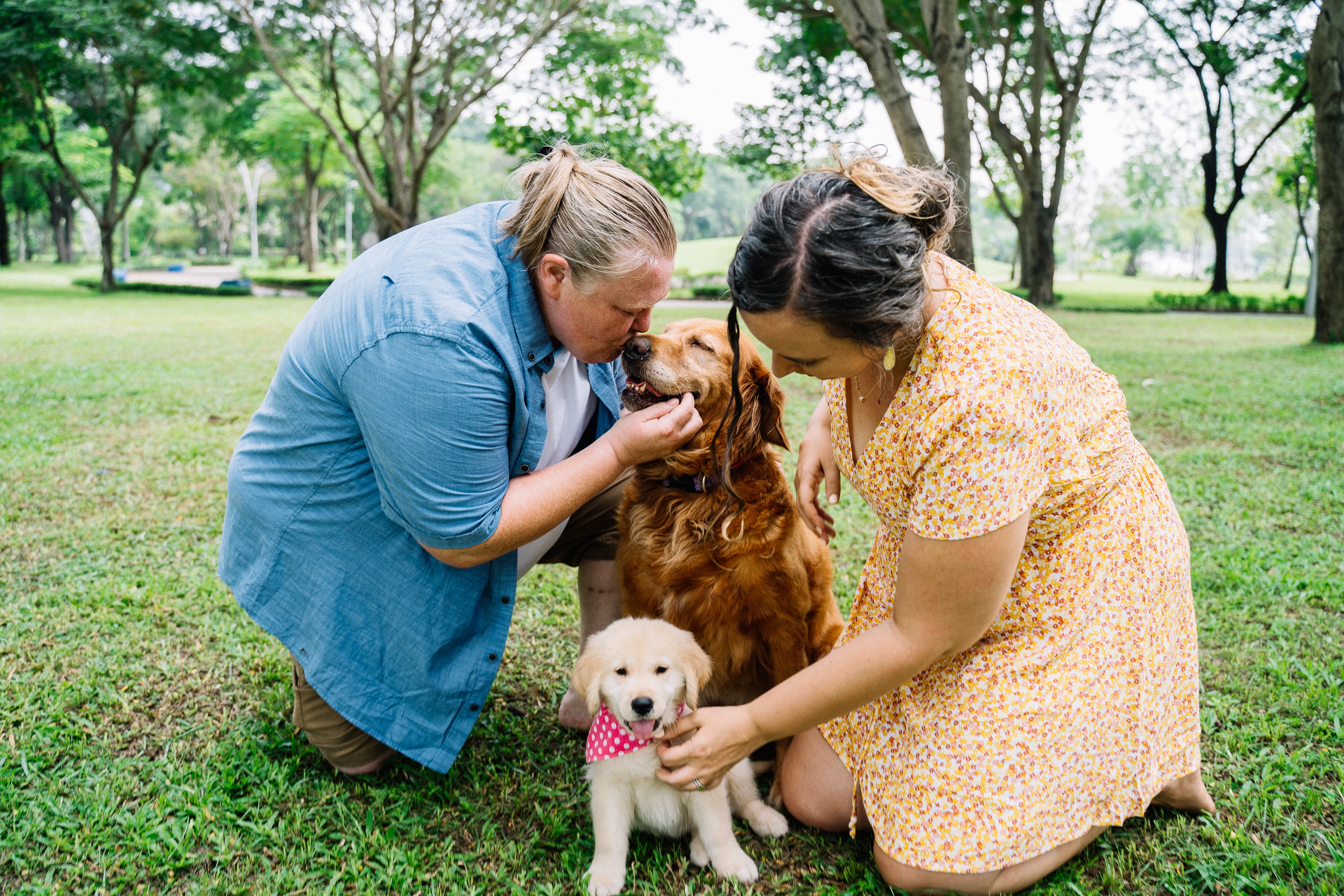 The dogs Simba and Nala and their new owners