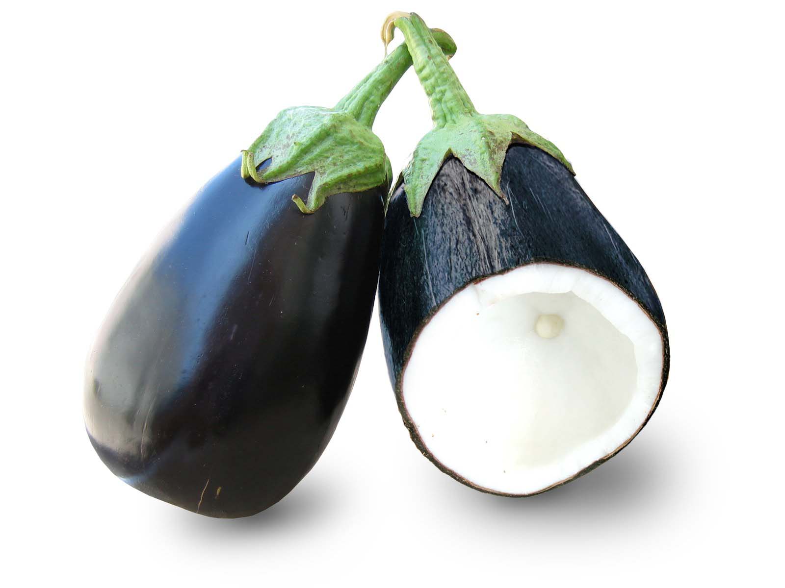 A photoshopped image that combines a coconut and an eggplant.