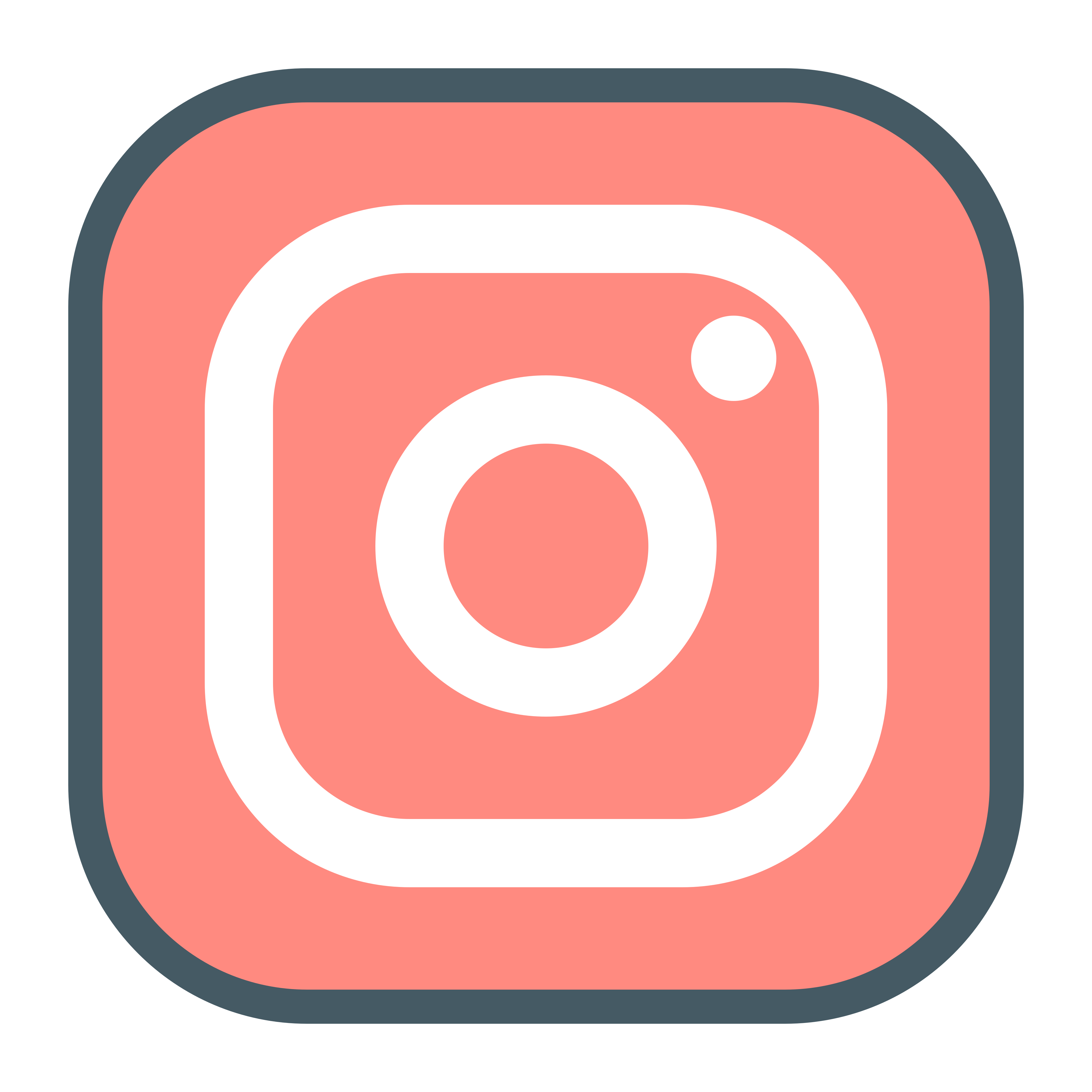 A red and white version of the instagram logo picturing a camera