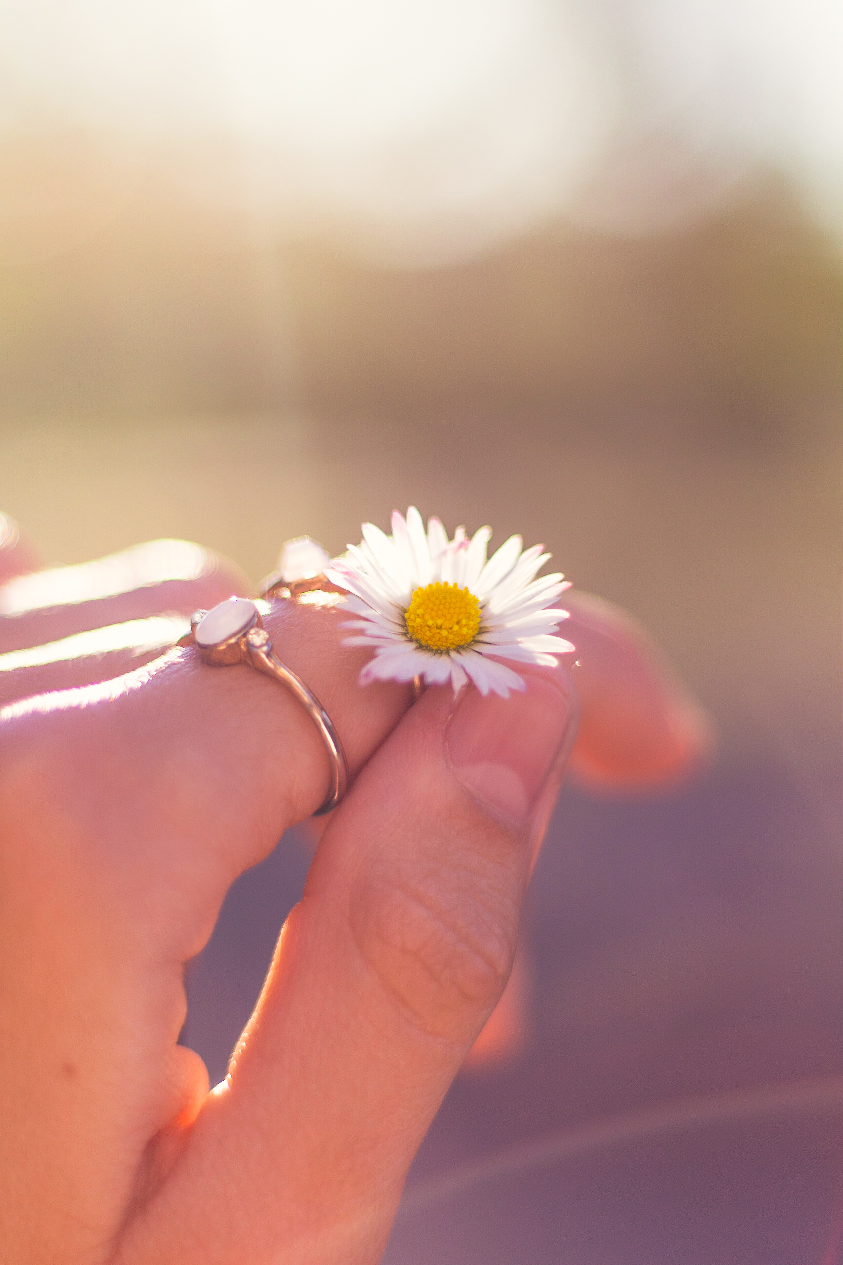 Flower and rings