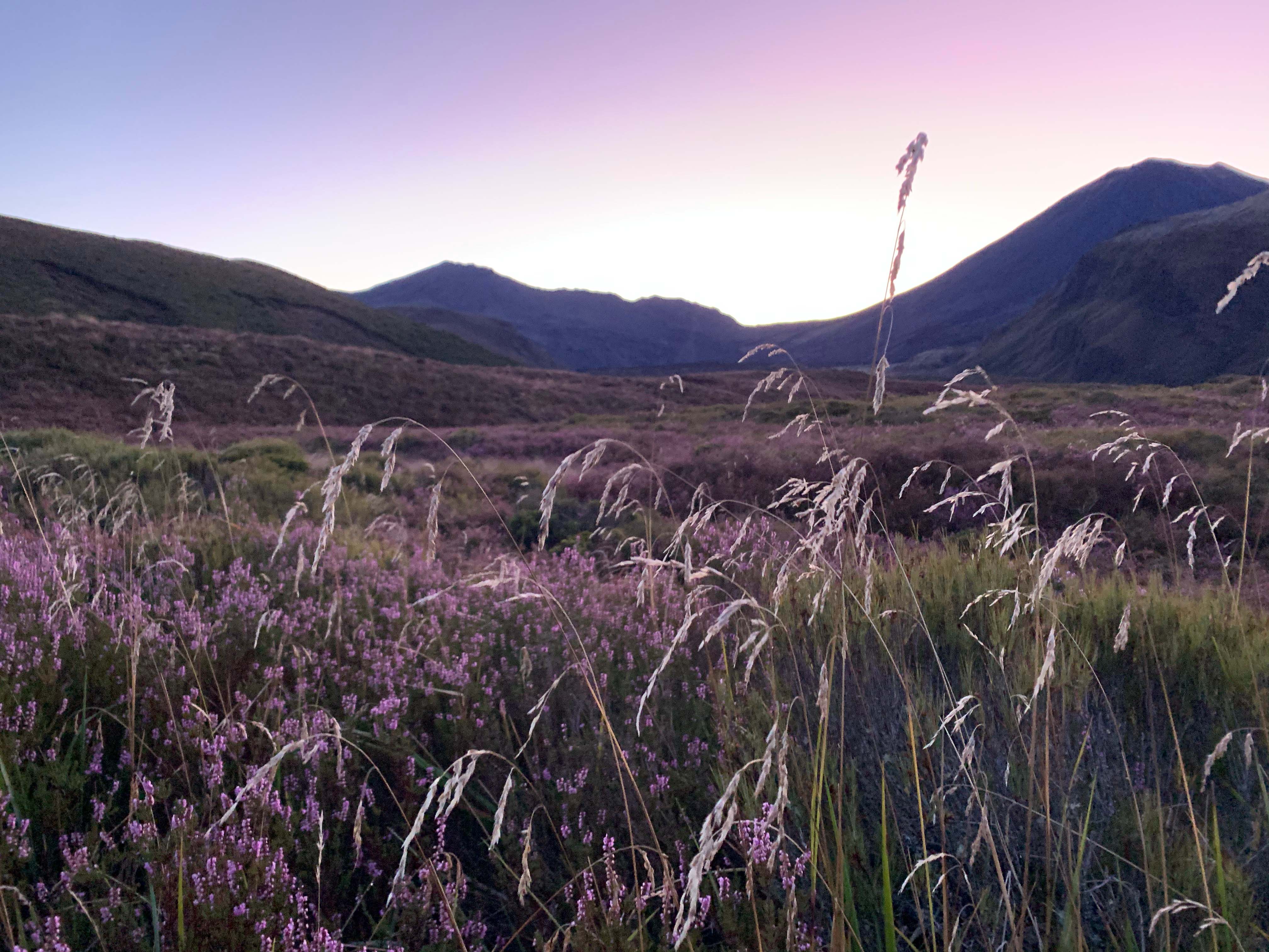 Picture from a hike in New Zealand