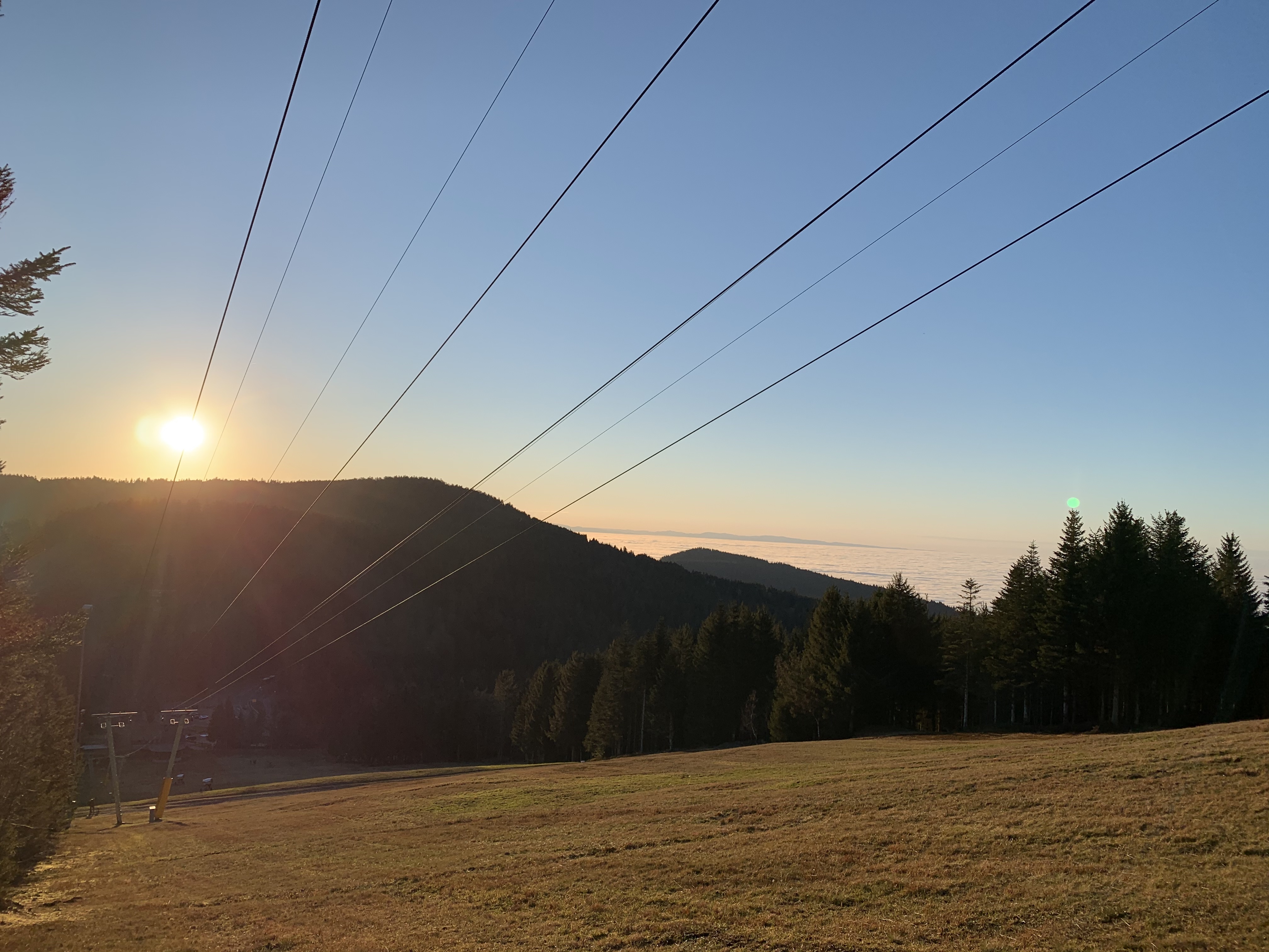 black forest sunset